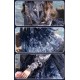 Yingluofu Angel's Garden Blouse and JSK(Pre-Order/Full Payment Without Shipping Cost)